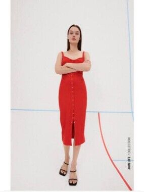 Price Firm 🍓 Zara Red Midi Dress